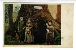 General Fremont Postcard Big Trees Santa Cruz 1915 RPO Seattle &amp; Seward Cancel - $27.69