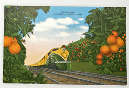 Vintage Illinois Central Streamliner Tropical Florida Postcard  - £6.79 GBP
