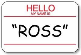 Two pieces ROSS and Dr. GELLER from FRIENDS tv series Safety Pin Fastener Name B - £20.45 GBP