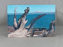 Vintage Postcard - Lopez Island view of Mt Baker - Ellis Post Card Co. - £11.72 GBP