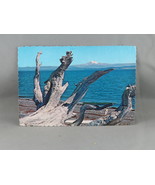 Vintage Postcard - Lopez Island view of Mt Baker - Ellis Post Card Co. - $20.37 CAD