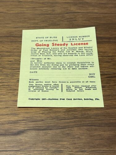 Vintage 1965 Novelty Going Steady License Jokes Gags Pranks KG JD - $6.92