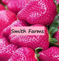 USA SELLER 200 Seeds Pink Strawberries Edible Healthy Fruit Planting Garden Stra - £11.75 GBP