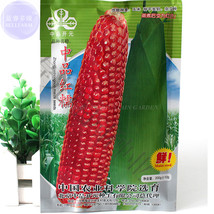 Zhongpinhongnuo Red Maize Corn Seeds Approx 200 Grams Tasty Glutinous Corn Bd100 - $37.97