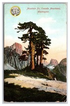 AYPE Mountain FIr Cascade Mountains Washington WA 1909 DB Postcard U25 - £2.31 GBP