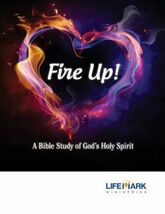 Fire Up!: A Bible Study of God's Holy Spirit by Jennifer Hicks: New - $24.74
