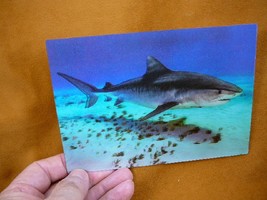 (POST-7) Lenticular 3D Postcard TIGER shark swimming in deep blue ocean sharks - £7.58 GBP