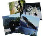 Forest Pack- Protect Your Furniture with These Decorative Coasters - $18.99