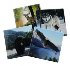 Forest Pack- Protect Your Furniture with These Decorative Coasters - $18.99