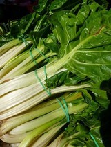Barese Swiss Chard White Rib Perpetual Spinach Beta Vulgaris Vegetable 2... - £4.70 GBP