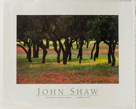 John Shaw Focus On Nature Amphoto Art Print Poster 1991 - $44.54