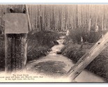 Great Divide Creek Alberta/British Columbia Canada Unp DB Cartolina N22 - £3.17 GBP