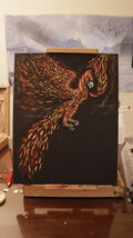 Longtail Firebird - 16 x 20 main copy - $49.00+