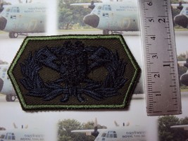 GAS CBRN Royal Thai Air Force, CBRN RTAF Special Operations Green Patch - $9.95