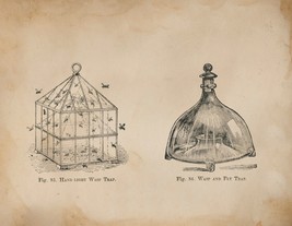 12871.Poster print.Room Wall design.Vintage garden fly wasp trap.Kitchen decor - £12.81 GBP+