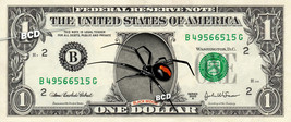 BLACK WIDOW Spider on REAL Dollar Bill Cash Money Bank Note Currency Dinero - $14.44