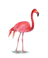 Pink Flamingo Tropical Bird Auto Boat Rv Window Graphic Art Decal Hd Uni... - $6.95+