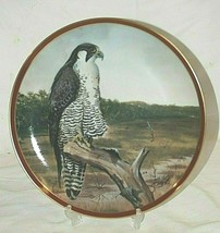 Hamilton Collection Peregrine Falcon Plate Majestic Birds of Prey COA C.... - $36.62