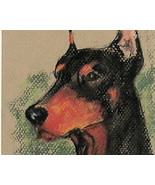 Doberman Dog Art Solomon Pastel Drawing Framed and Matted - £151.32 GBP