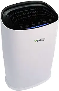 Hepa Air Purifier With H13 Hepa Filter, Active Carbon, Multi-Speed, Slee... - £439.73 GBP