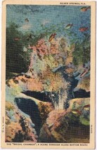 Florida Postcard Silver Springs Bridal Chamber Through Glass Bottom Boat - £2.32 GBP