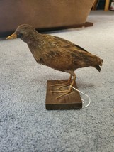 NT62 VTG Spotted Crake Bird Table Pedestal Mount Taxidermy - £110.24 GBP