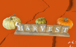 Primitive Signs Farmhouse PUMPKIN PATCH Market FALL Harvest SIGN Table M... - $16.66