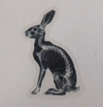 Rabbit X-Ray Transparent Sticker 2.5&quot; x 1.78&quot; (AS) - $1.64