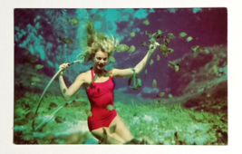 Weeki Wachee Spring of the Mermaids Florida Attraction Dexter Postcard 1950s (d) - £7.50 GBP