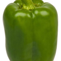 USA SELLER New Pepper Seeds Pepper California Wonder 25 Seeds Sweet Bell Pepper  - £12.37 GBP