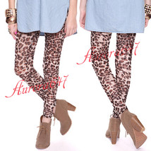 Forever21 Lace Animal Leopard Prints Pencil Leggings Stretch Sheer Skinny Pants - £37.38 GBP