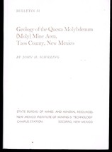 Geology of the Questa Molybdenum (Moly) Mine Area, Taos County, New Mexico - £30.42 GBP