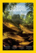 National Geographic Magazine June 2024 Stress, Lava, Sea warming + much more... - £5.22 GBP