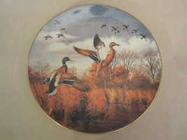 Mallard Duck Collector Plate David Maass Joining Up Rare Brown &amp; Bigelow - £64.41 GBP