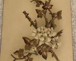 White Flowers Growing Victorian Trade Card VTC 3 - $7.91