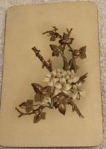 White Flowers Growing Victorian Trade Card VTC 3 - £6.32 GBP