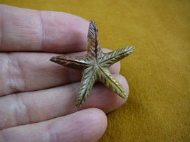 Y-STA-4) little red Starfish marine sea star stone carving SOAPSTONE lov... - $8.59