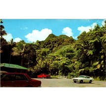 Vintage Chrome Puerto Rico Postcard, El Yunque Mountain Rain Forest, Rahola - $20.32