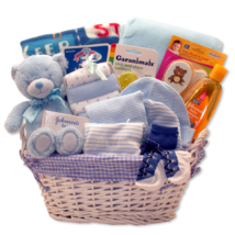 Simply Baby Necessities Basket - Blue - baby bath set -  baby boy gift basket -  - $117.28