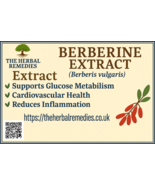  Berberine Extract 100g Berberis aristata, Berberis vulgaris, Coptis chi... - $49.86