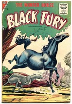BLACK FURY THE WONDER HORSE #6 1956 CHARLTON COMICS FN - £29.67 GBP