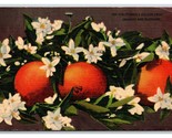 Oranges and Blossoms UNP Linen Postcard V23 - $2.92
