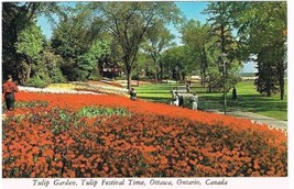 Ontario Postcard Ottawa Canadian Tulip Festival Tulip Garden - $2.18