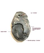 Rare Vishvaksena Shaligram - Gandaki River Nepal - $292.05