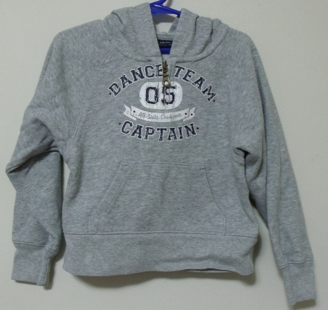 Girls Baileys Point Gray Hooded Long Sleeve Sweatshirt Size XS - $6.95
