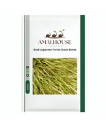 Gold Japanese Forest Grass - 30 PCS Seeds - $11.66