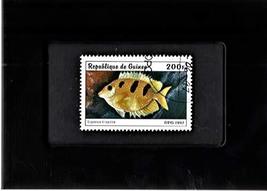 Framed Stamp Art - Collectible Postage Stamp - Threeblotched Rabbitfish - $8.81