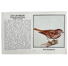 Fox Sparrow Bird Print 1931 Blue Book Birds Of America Antique Art PCBG13C - £15.97 GBP