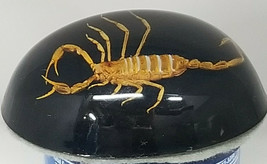 Paperweight Scorpion Oval Dome Black Gold Vintage Acrylic - £15.38 GBP