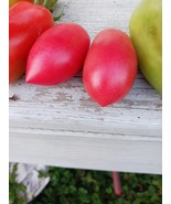 Pink Marzano Seeds 2023 Fresh Lot - $5.50